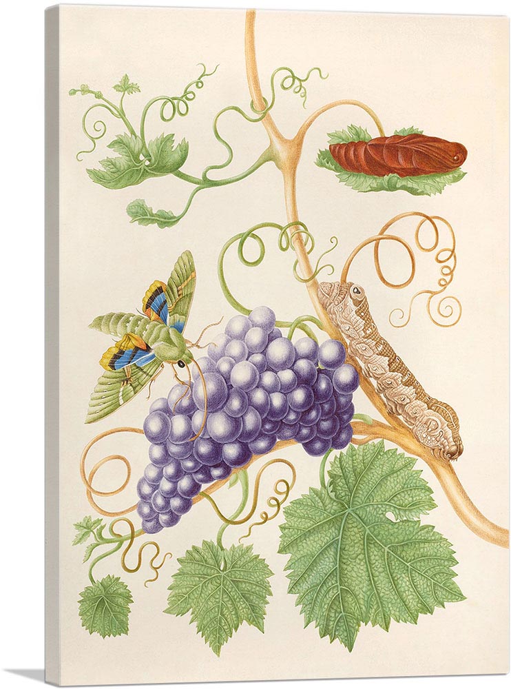 1-panel