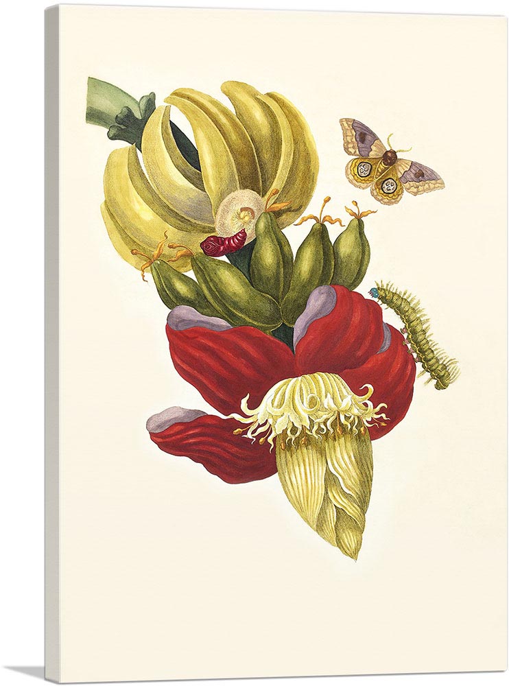 1-panel