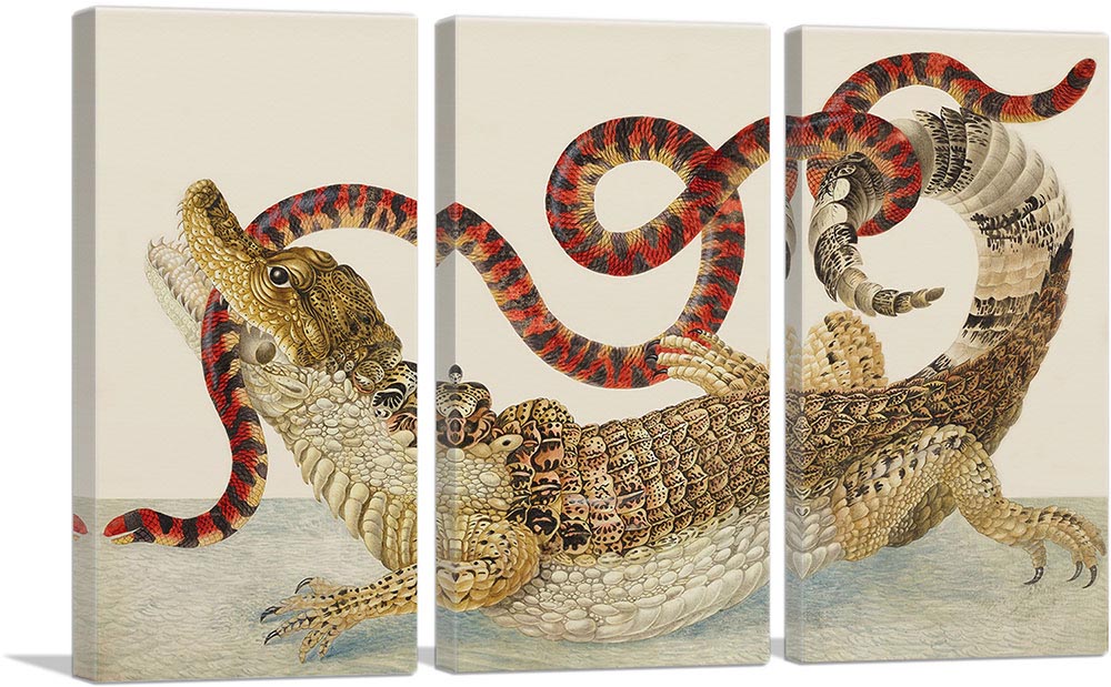 3-panel