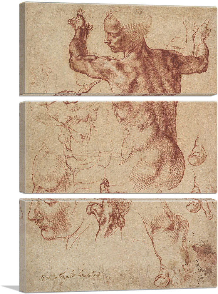 3-panel