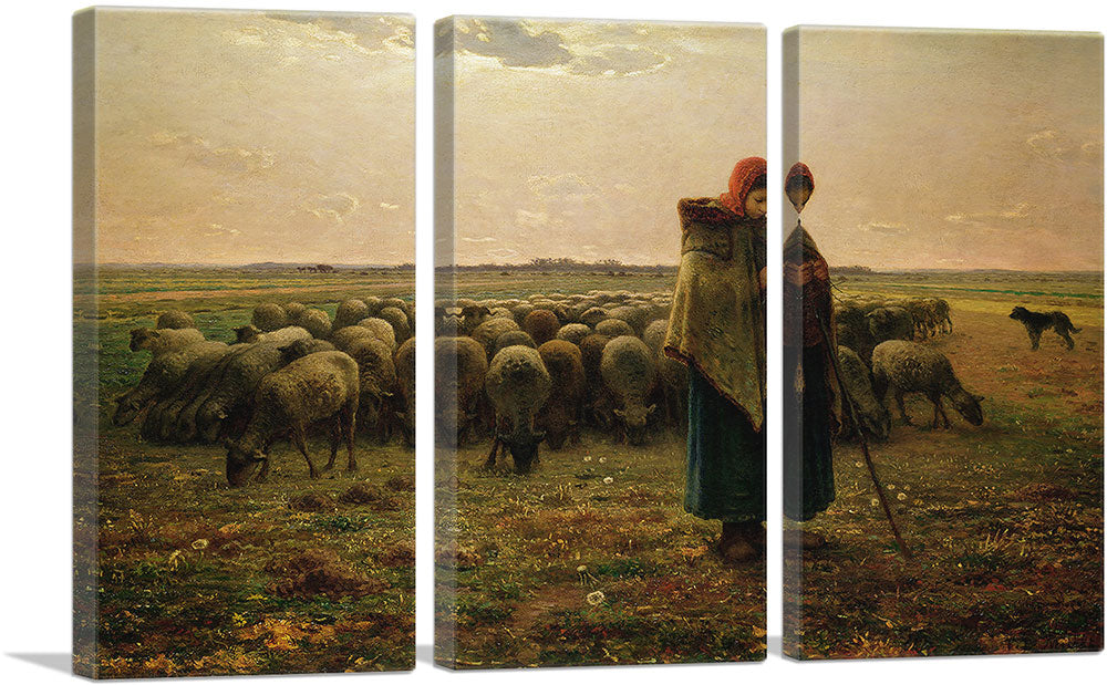3-panel