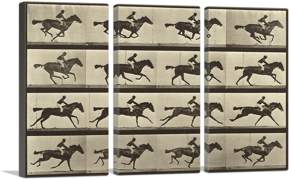 3-panel