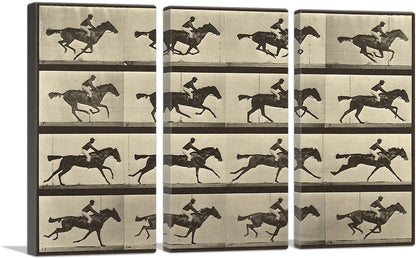 3-panel