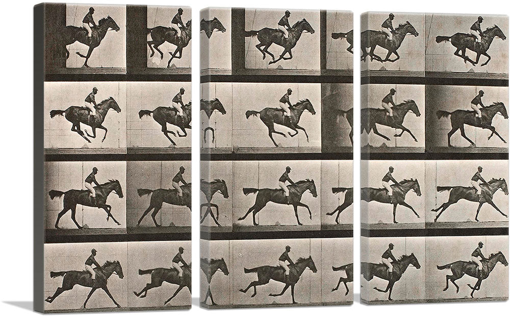 3-panel