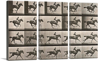 3-panel