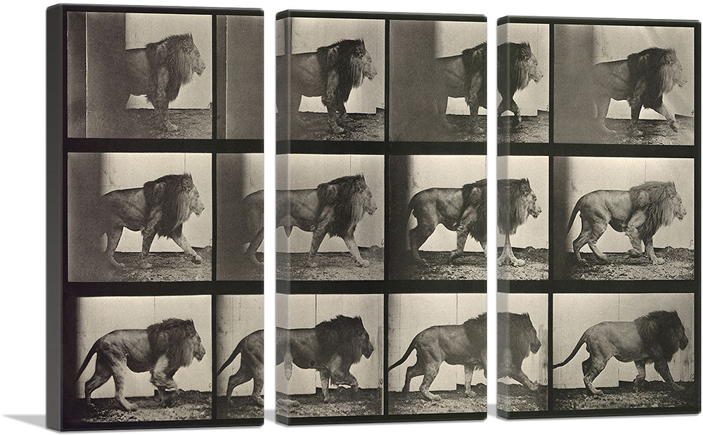 3-panel
