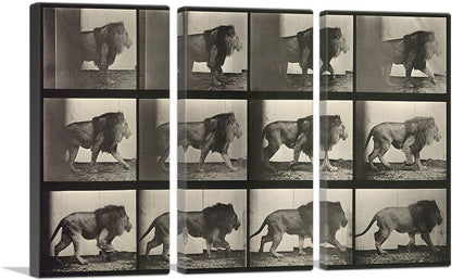 3-panel