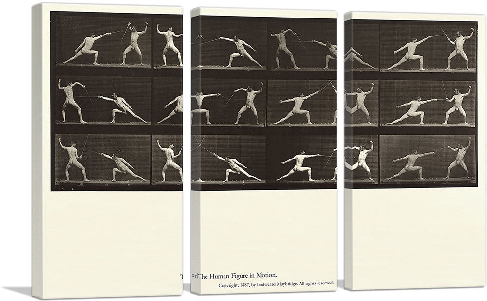 The Human Figure in Motion - Nude Men Fencing