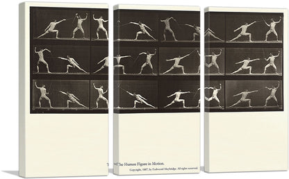 The Human Figure in Motion - Nude Men Fencing