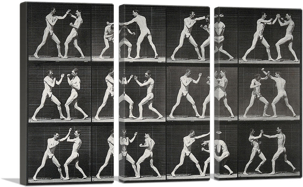 3-panel