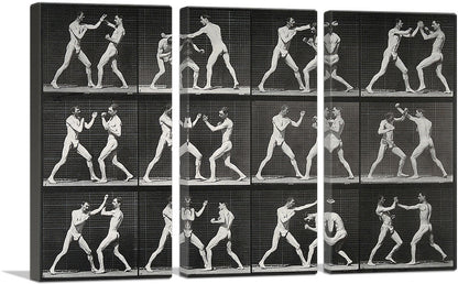 3-panel