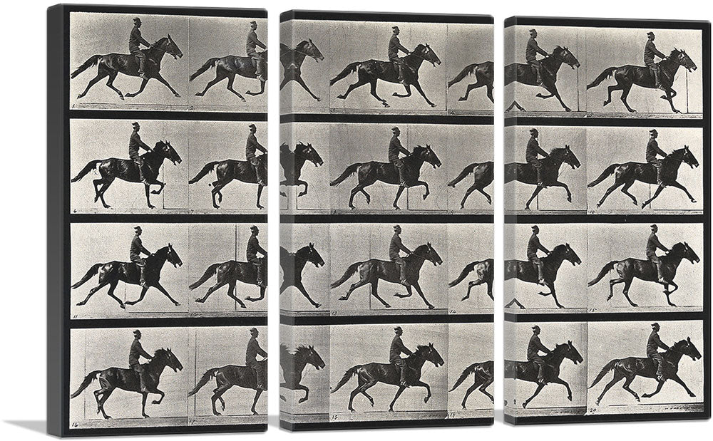 3-panel