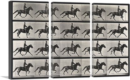 3-panel