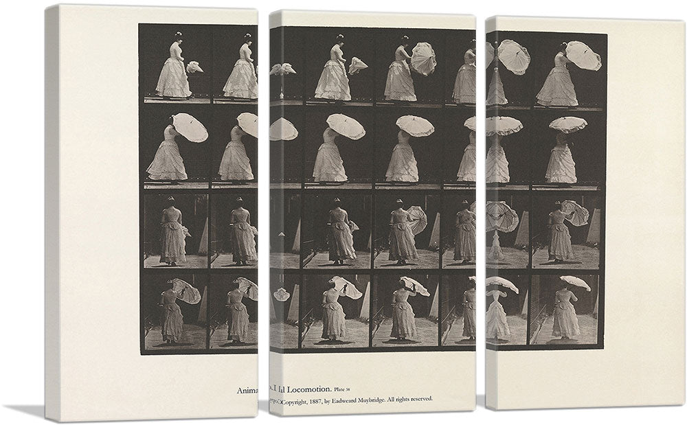 3-panel