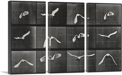 3-panel