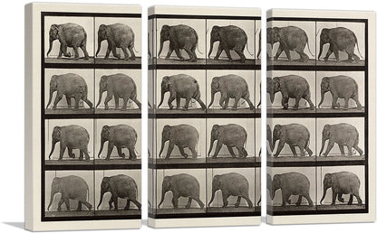 3-panel