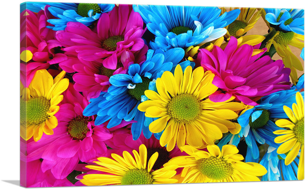 1-panel