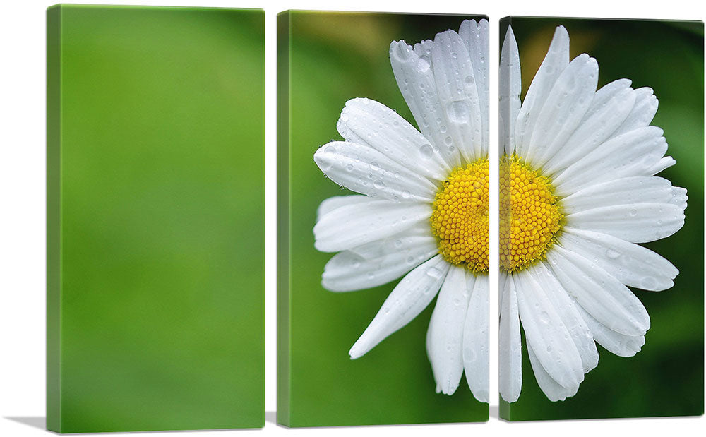 3-panel
