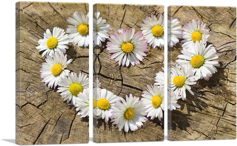 3-panel