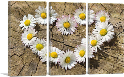 3-panel