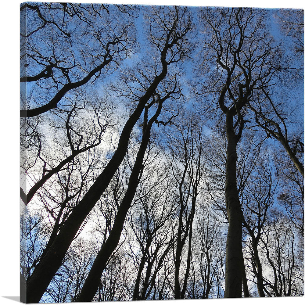 Forest Home Decor Square
