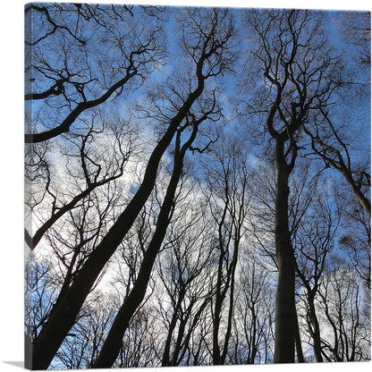Forest Home Decor Square