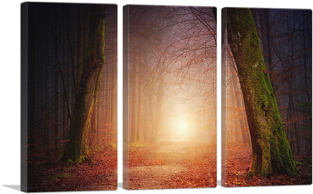 3-panel