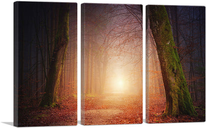 3-panel