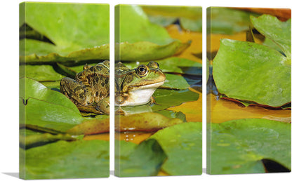3-panel