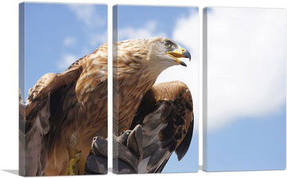 3-panel