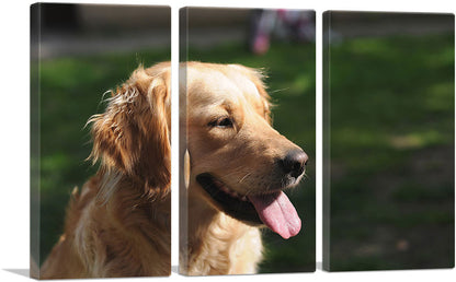 3-panel