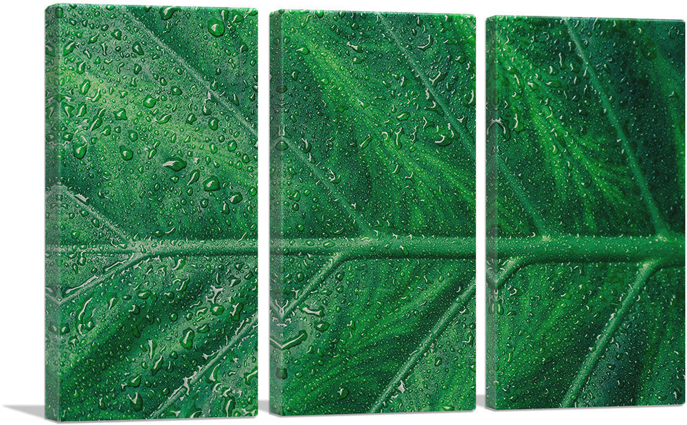 3-panel