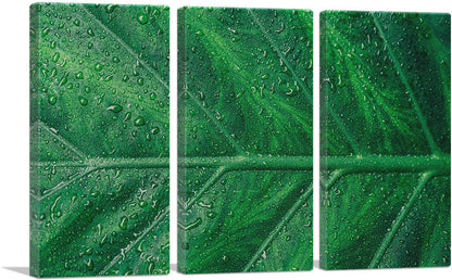 3-panel