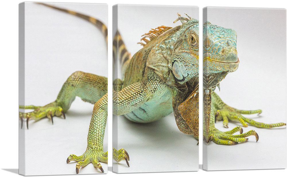 3-panel