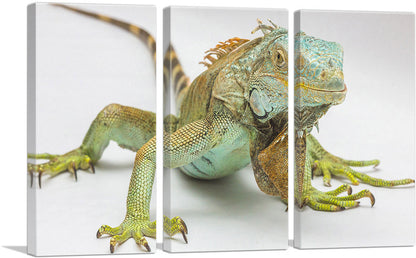 3-panel