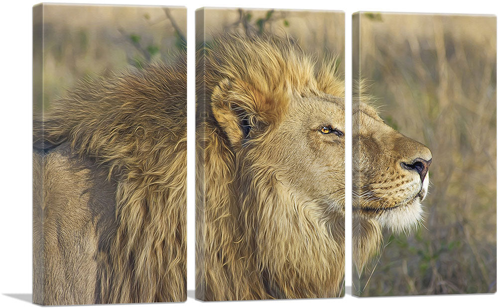 3-panel