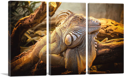 3-panel