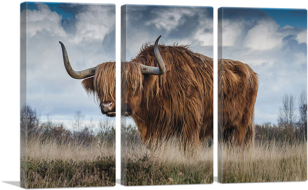 Long Hair Bull Home Decor Rectangle