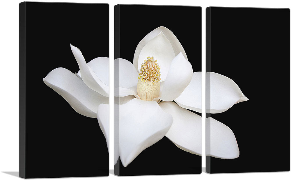 3-panel