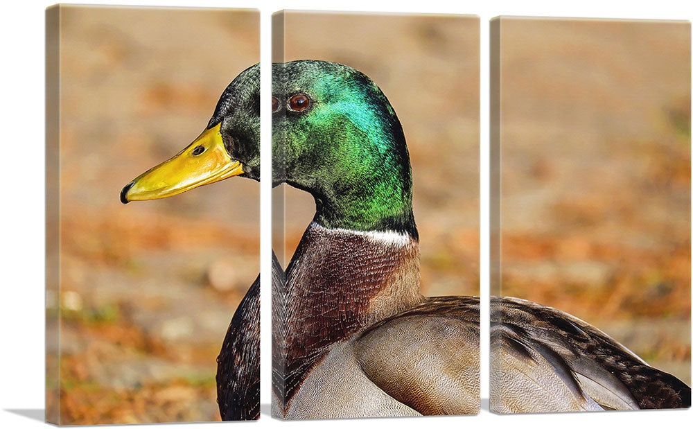 3-panel