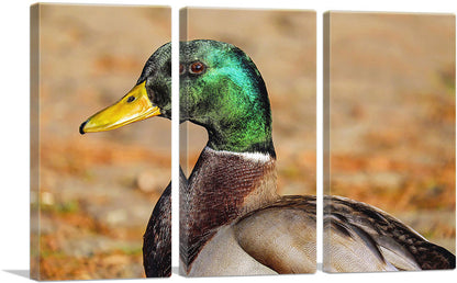 3-panel