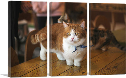Munchkin Cat Home decor