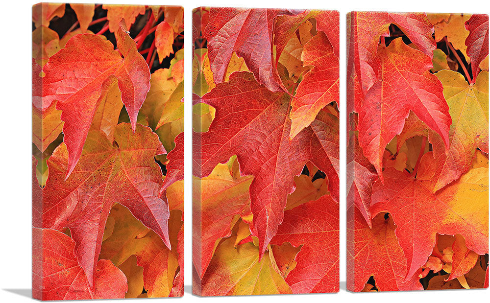 3-panel