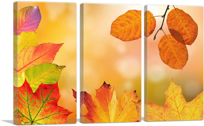 3-panel