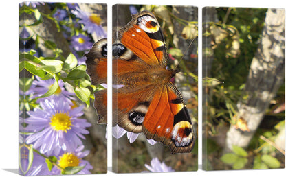3-panel