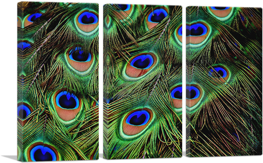 3-panel
