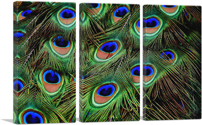 3-panel