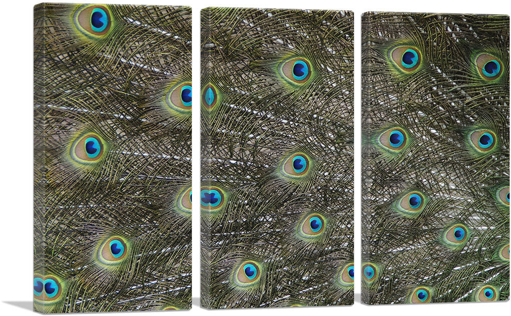 3-panel