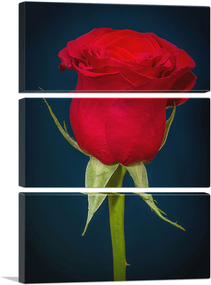 3-panel