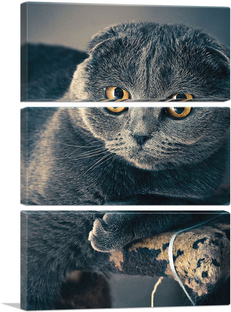 3-panel